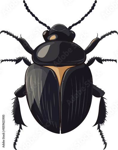 simple vector dung beetle clipart