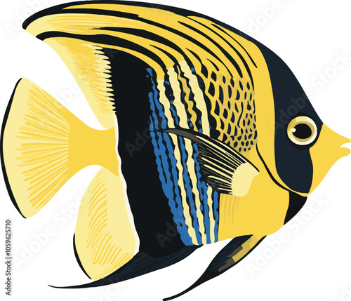 simple vector emperor angelfish clipart