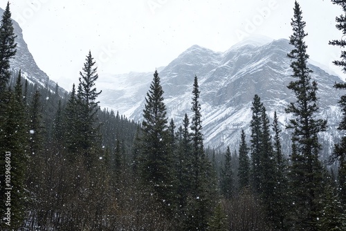 Forêt de sapins enneigée sous des montagnes imposantes en hiver..