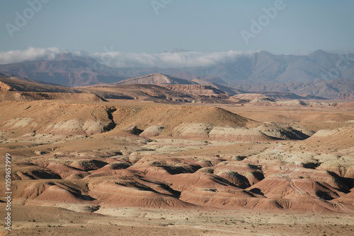 Desolate Desert Panorama