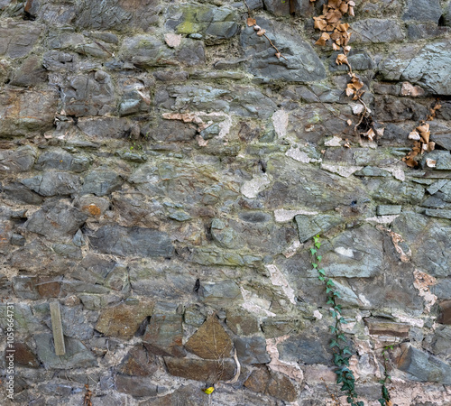 Alte Steinmauer aus grobem Naturstein mit Mörtelfugen photo