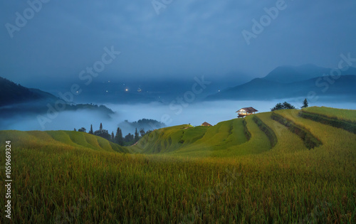 Terraced rice field at moon night photo