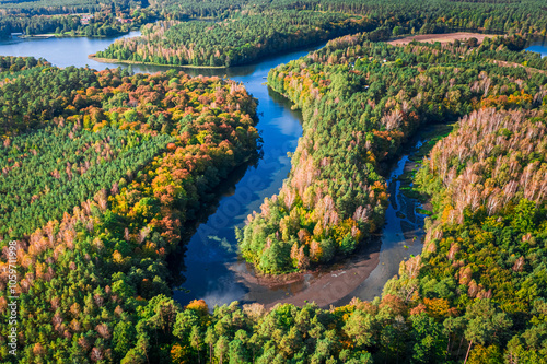 Colorful autumn forest and ...