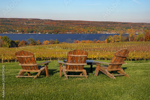 Empty wooden chairs looking over a vineyard in New York photo