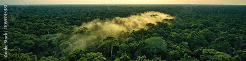 Lush Green Canopy of the Amazon Rainforest with Morning Sun Rays - Dense Jungle Nature Scene with Fog, Vast Forest Landscape, Conservation and Biodiversity