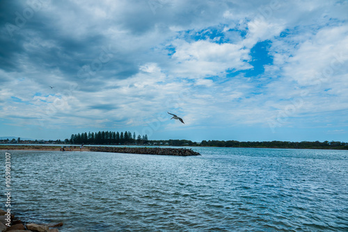 Edith Lacey Park is a park and is located in New South Wales, Australia.