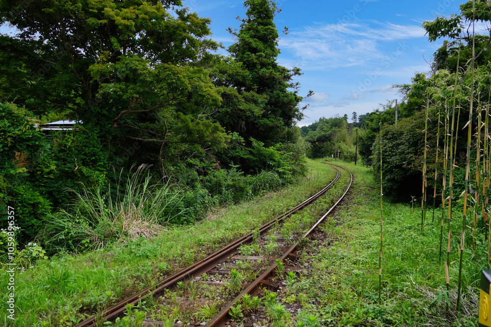 【エコイメージ】夏の田舎の風景