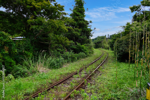 Obraz na płótnie 【エコイメージ】夏の田舎の風景 w salonie