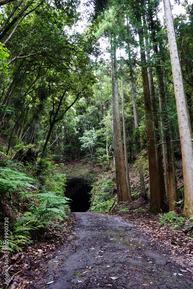 【エコイメージ】夏の田舎の風景