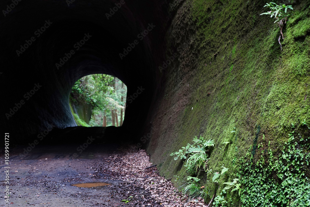 【エコイメージ】夏の田舎の風景