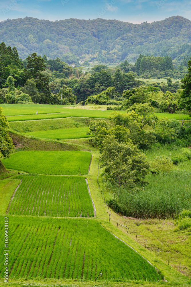【エコイメージ】夏の田舎の風景