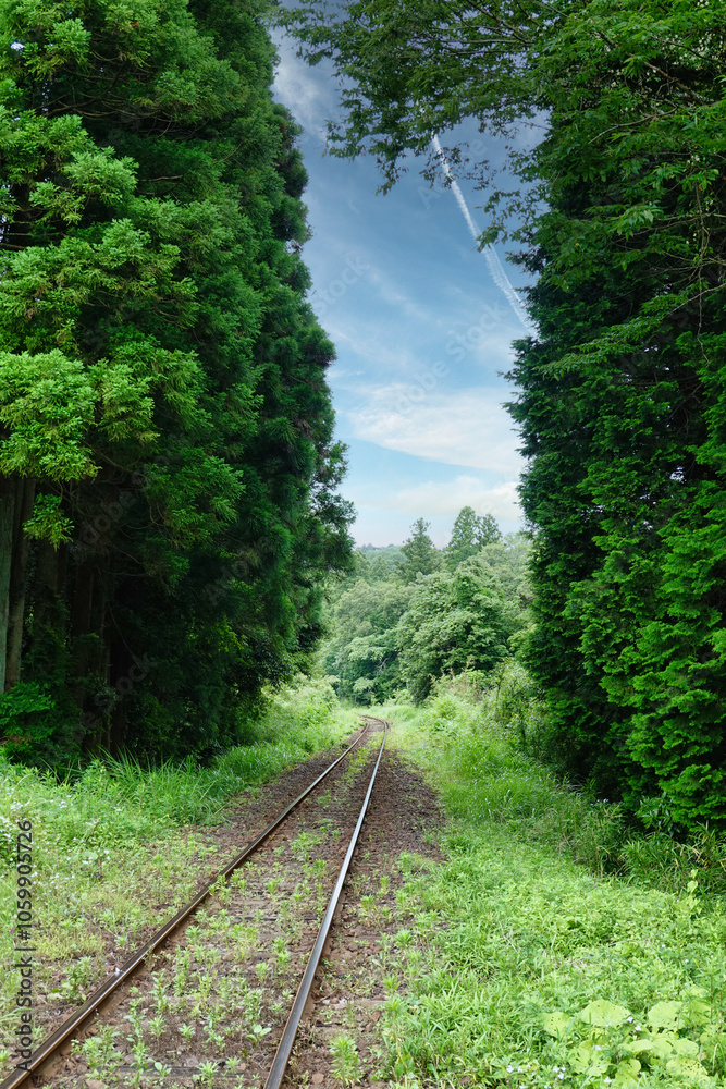 【エコイメージ】夏の田舎の風景