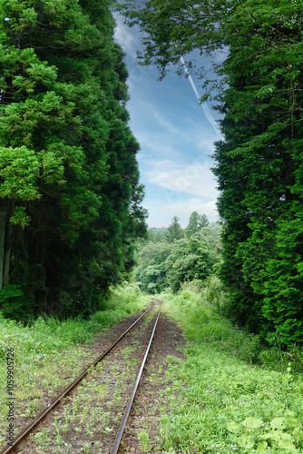 Obraz na płótnie 【エコイメージ】夏の田舎の風景 w salonie