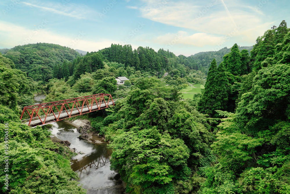 【エコイメージ】夏の田舎の風景