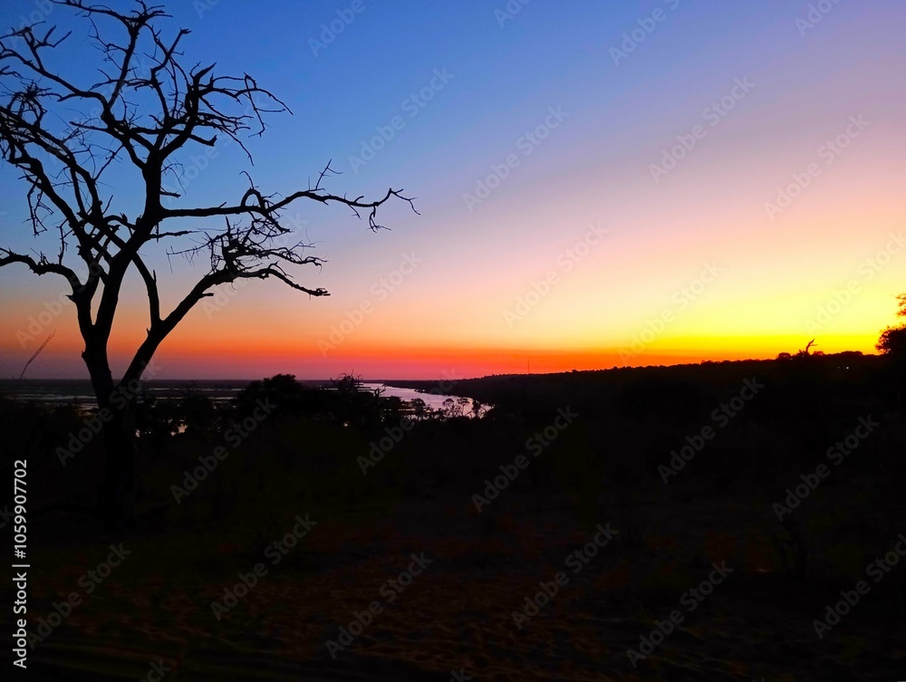 Obraz premium Sunrise in Chobe river, Botswana