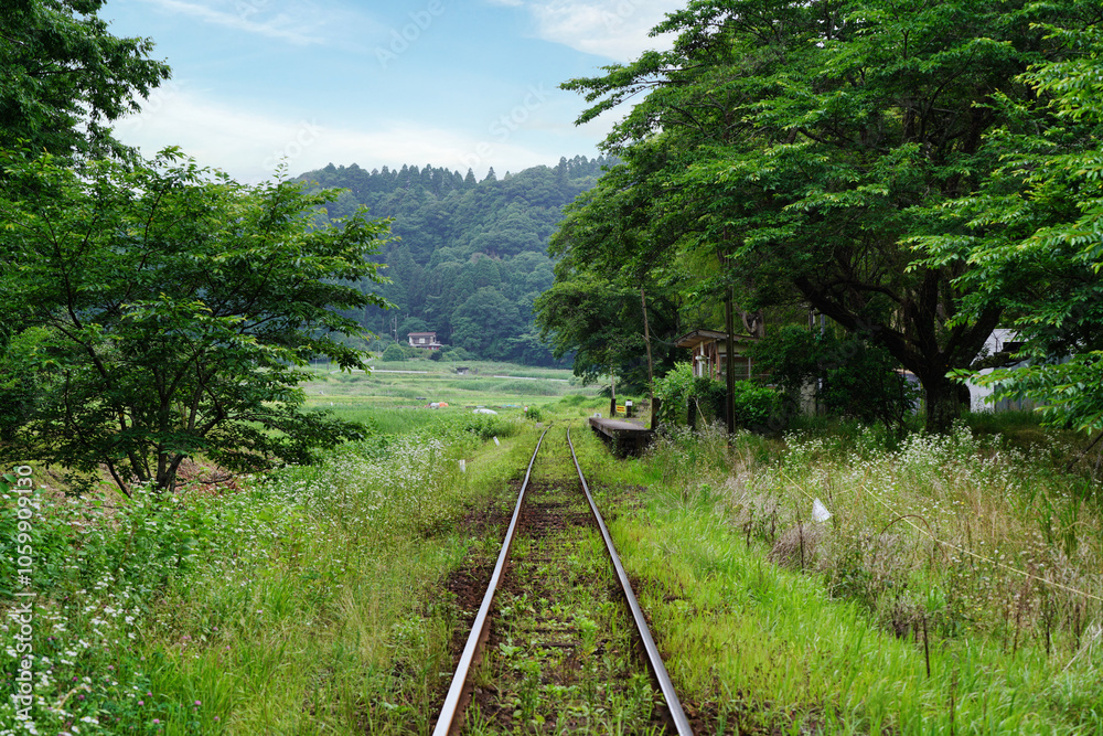 【エコイメージ】夏の田舎の風景