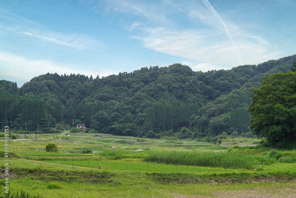 【エコイメージ】夏の田舎の風景