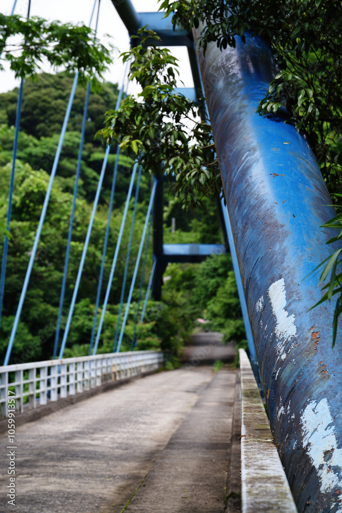 【エコイメージ】夏の田舎の風景