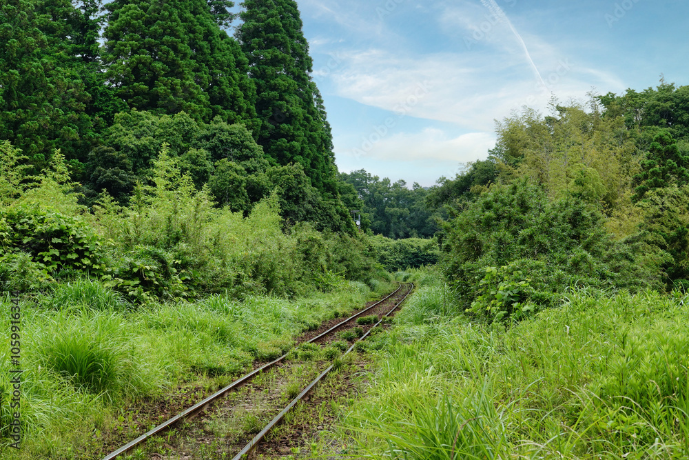 【エコイメージ】夏の田舎の風景