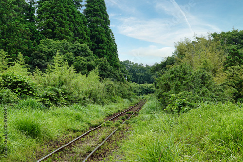 Obraz na płótnie 【エコイメージ】夏の田舎の風景 w salonie