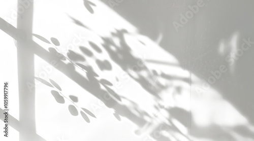natural leaves shadow light effect on transparent background