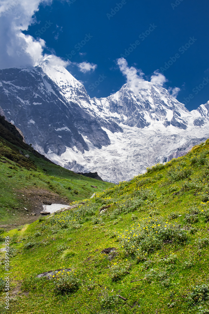 Fototapeta premium Lush green Darma valley with snow covered panchachuli mountain peaks of himalaya from its base camp. The meadow or grassland covered with flowers.