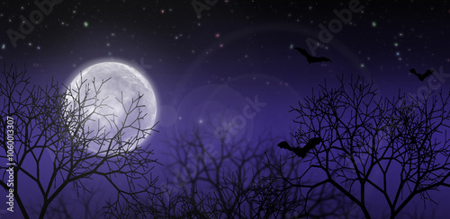 Night landscape with moon and stars.
