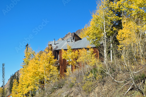 Cabin Surrounded by Aspen Trees