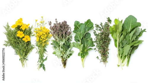 A variety of wild vegetables including edible flowers, wild mustard, and sea kale, perfect for adding a natural touch to meals, isolated on a white background photo