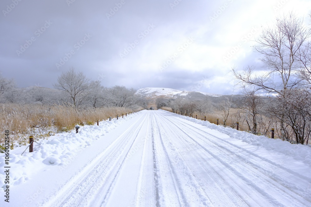 Fototapeta premium 真っ白な雪景色