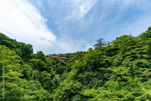 初夏の鳴子峡