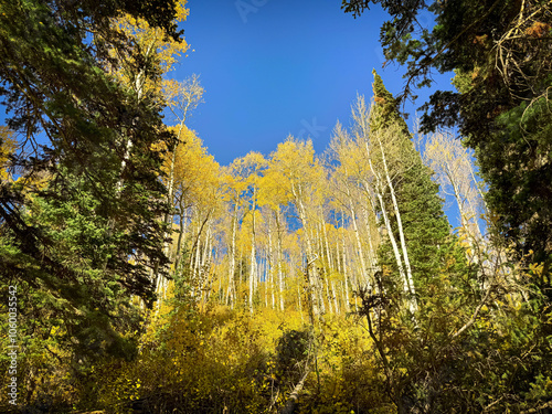 Fall Colors Around Silver Lake