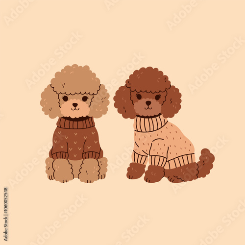 Two cute brown miniature poodles in sweaters. Vector graphics.