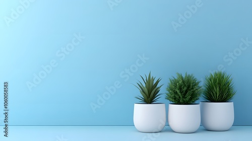 plant in a flowerpot