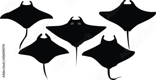 Star fish in different sizes with white background,Fish in star shape swimming 