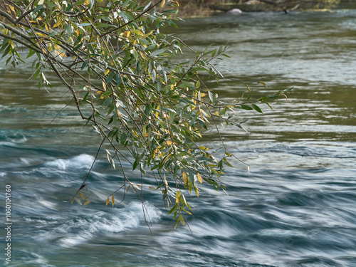 Autunno sul Fiume Tirino nel Parco Nazionale del Gran Sasso - Capestrano (AQ) photo