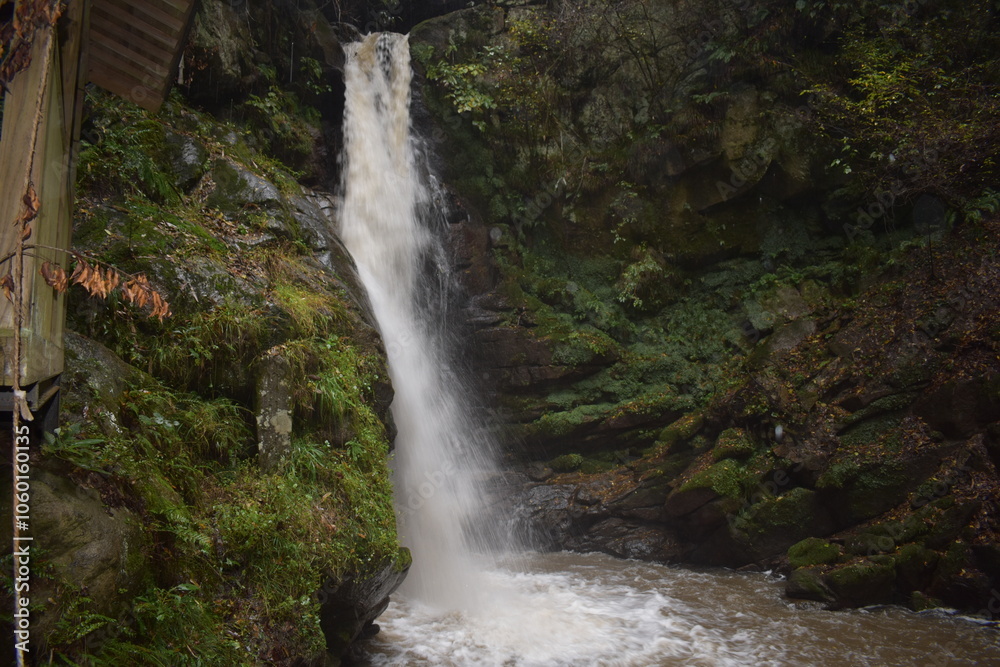 Obraz premium 壬生沢不動滝