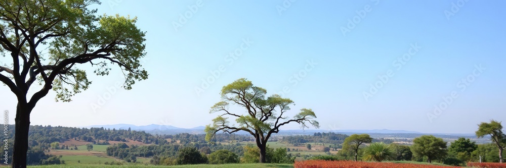 Fototapeta premium Lush green land with a dense tree landscape in the background, green, scenery