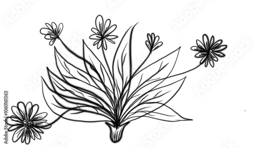hand drawn flowers