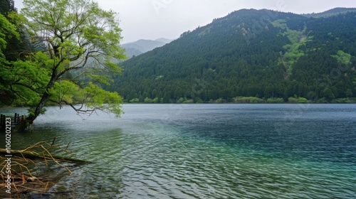 natural scenery