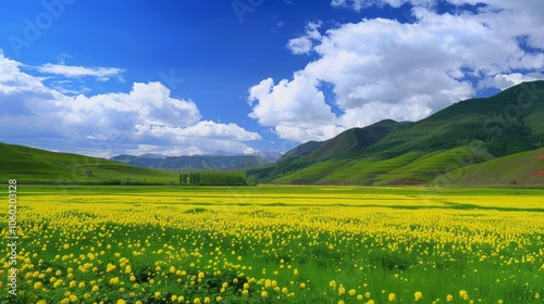 natural scenery