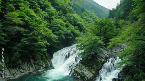 natural scenery