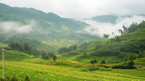 natural scenery
