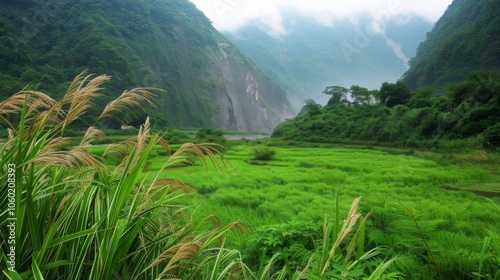 natural scenery