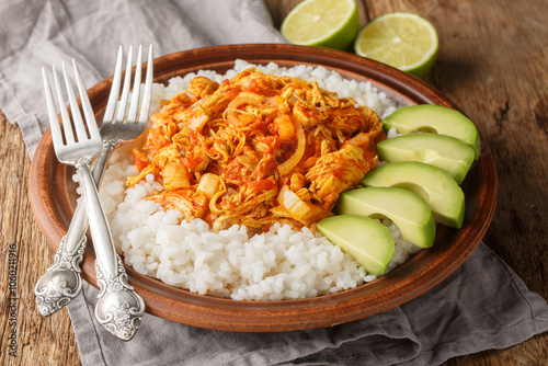 Tinga chicken that is seasoned with taco seasoning and simmered in broth served with rice and avocado closeup in plate on the table. Horizontal photo