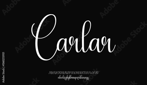 Signature Font Calligraphy Logotype Script Brush Font Type Font lettering handwritten
