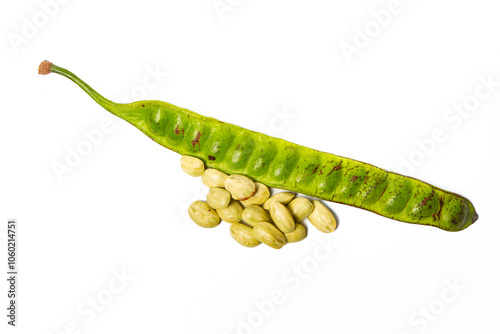 Stink bean on isolated white background, closeup (petai atau pete di latar belakang warna putih) photo