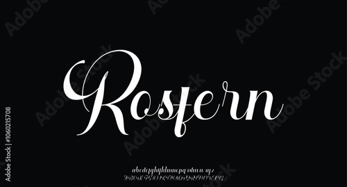 Signature Font Calligraphy Logotype Script Brush Font Type Font lettering handwritten
