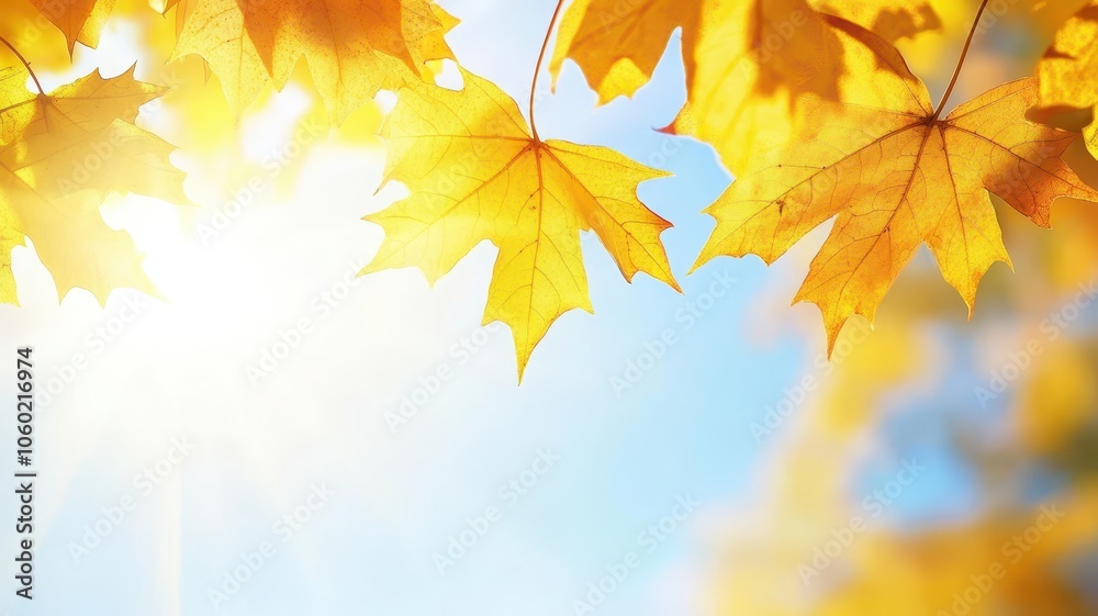 Autumn background with maple leaves and bokeh,Fall blurred background, Yellow and red maple leaves are flying and falling down. Autumnal landscape.water drop on leaf,space for text. Autumn background with maple leaves and bokeh,Fall blurred background, Yellow and red maple leaves are flying and falling down. Autumnal landscape.water drop on leaf,space for text.