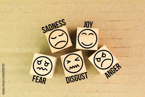Canvas-taulu five face emotional emotion joy, sadness, fear, disgust, and anger